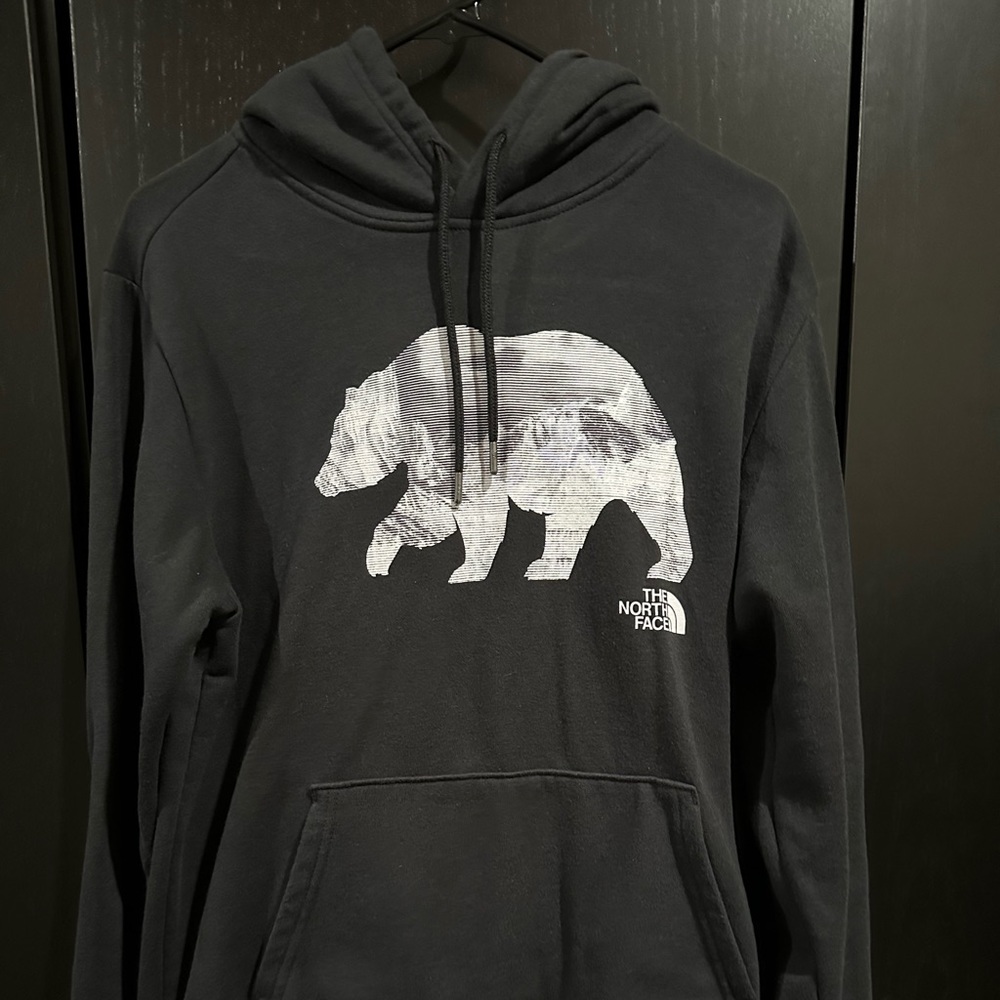 The north face hoodie